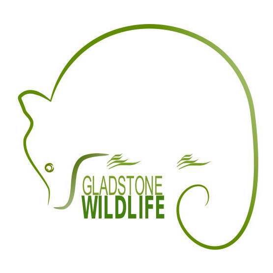 Gladstone District Wildlife Carers Association (GDWCA)