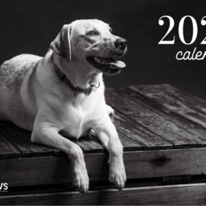 2025 Calendar